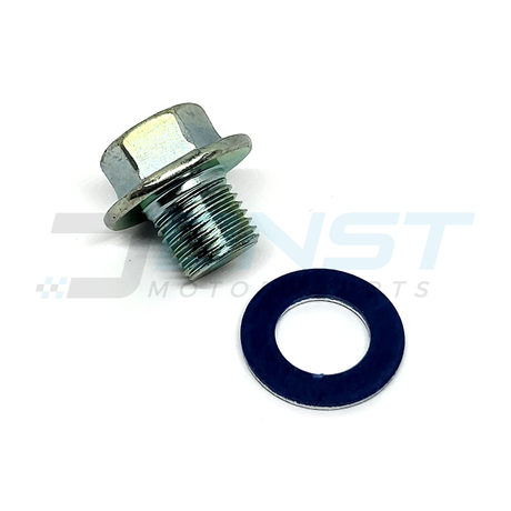 A stainless steel threaded sump bolt and paper round gasket on a white background with a DNST Motorsports watermark
